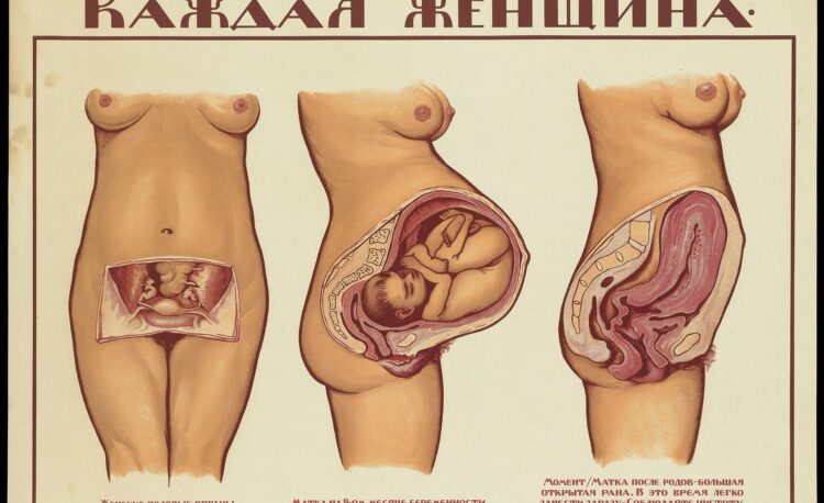 PHYSIOLOGICAL CHANGES DURING PREGNANCY