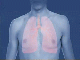 Bronchial Asthma and COPD Nursing Notes (PDF + Easy Guide)